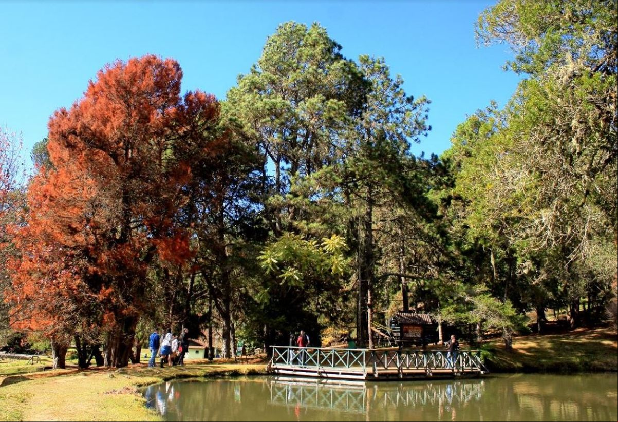 DEZ EIOS PARA CURTIR O DIA DOS PAIS EM CAMPOS DO JORDÃO