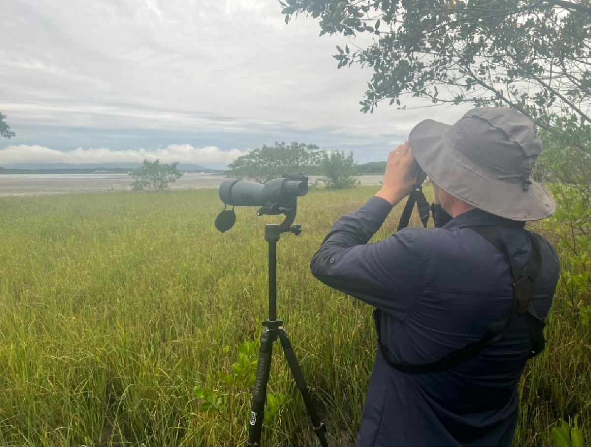 ville desponta como destino promissor para o turismo de observação de aves